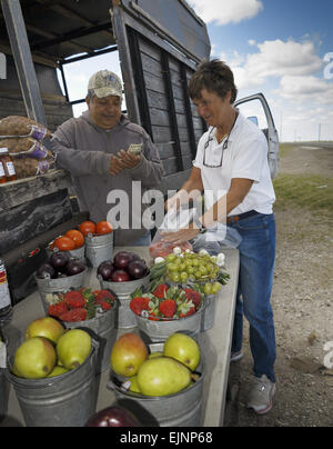 Ältere Frau kaufen frisches Obst und Gemüse aus einer am Straßenrand Garküche in Texas USA Stockfoto