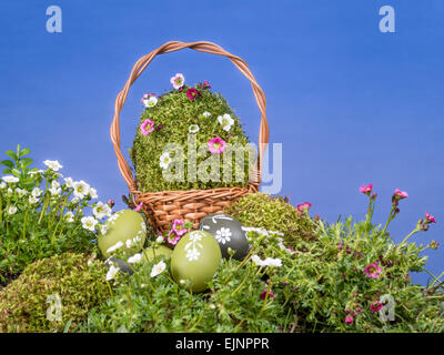 Ostern-Weidenkorb mit moosbewachsenen Riesenei und Frühlingsblumen und bemalten Rückenhaut in dem Rasen über blauen Himmel Stockfoto