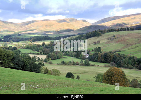 Annandale Tal nördlich von Moffat in den Scottish Borders Stockfoto