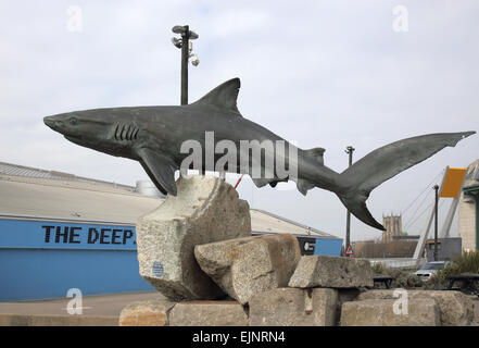 Blick auf das Tief, das große Aquarium am Ufer des Humber River in Hull yorkshire Stockfoto