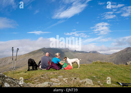 Wanderer mit Hunden ruht auf Yr Aran obersten Gipfel mit Blick zum cloud-überdachte Mount Snowdon in Berge von Snowdonia Wales UK Stockfoto