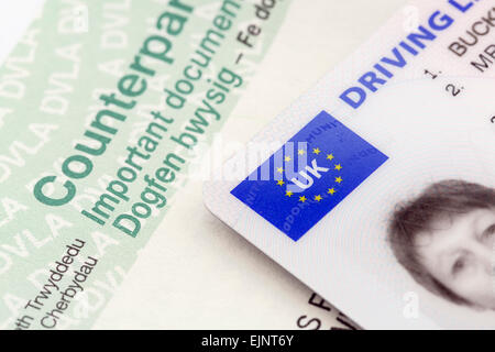 Eine britische Plastikkarte fotografische Führerschein bei einem bilingualen Papier Gegenstück Dokument in englischer und walisischer Sprache ausgestellt von Dvla. Großbritannien Stockfoto