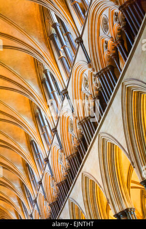 Malerische Wirkung der Decke Detail im Inneren der Kathedrale von Salisbury, Salisbury, Wilshire, UK im März Stockfoto