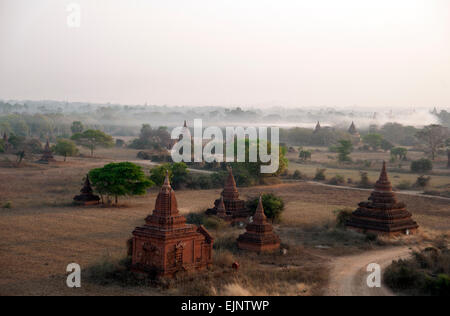Am frühen Morgennebel steigt aus der Vegetation um die Tempel von Bagan Myanmar Burma Stockfoto