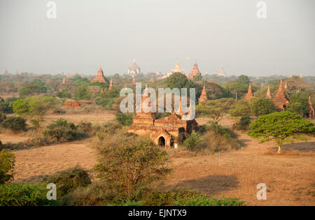 Am frühen Morgen Sonne wirft Schatten unter den vielen Tempel von Bagan Myanmar Birma Stockfoto