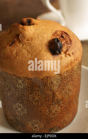 Panettone Kuchen eine süße Frucht Laib stammt ursprünglich aus Mailand Italien traditionell zu Weihnachten gegessen Stockfoto