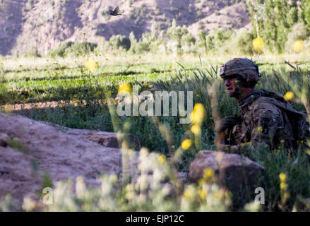 US-Armee geht in Deckung in einem Weizenfeld 2nd Lt. Patrick Hendrickson, Zugführer 1. Zug, Firma A, 1. Bataillon, 168. Infanterie-Regiment, 34. US-Infanteriedivision, Iowa National Guard und ein Eingeborener von Pleasant Hill, Iowa, als er seinen Zug in Position vor dem Umzug in Ruwquiean Dorf, Afghanistan, Juni 9 bewegt sich. Hendrickson Zug zur Verfügung gestellt für die afghanische nationale Sicherheit Sicherheitskräfte wie sie Häuser für Waffen Caches rund um das Dorf gesucht. Stockfoto