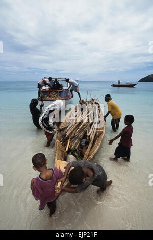 Lokalen Dorf Familie entladen Holz vom Boot, Yaqeta Island. Yasawa-Gruppe. Fidschi-Inseln. Pazifik Stockfoto