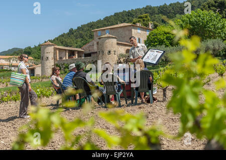 Urlaub in den Weinbergen von Gigondas AOC Weinprobe. Vaucluse. Region Provence-Alpes-Cote d ' Azur. Frankreich Stockfoto