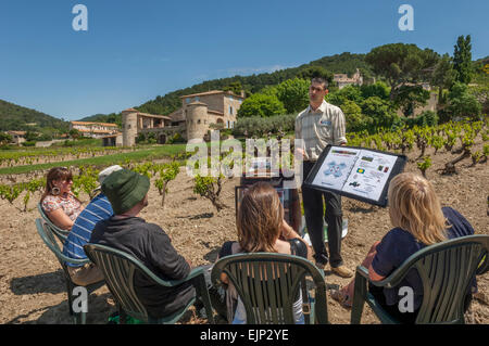 Urlaub in den Weinbergen von Gigondas AOC Weinprobe. Vaucluse. Region Provence-Alpes-Cote d ' Azur. Frankreich Stockfoto