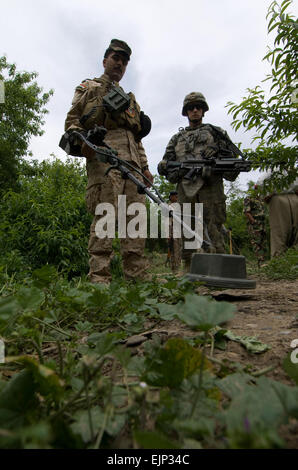 Ein irakische Soldaten aus dem 1. Bataillon, 20. Brigade, 5. Division, irakische Armee betreibt ein Minensuchgerät während der US-Armee Pfc Justin Chapman vom 2. Bataillon, 8. Feldartillerie-Regiment, 1st Stryker Brigade Combat Team, 25. Infanterie-Division, bietet Sicherheit in einem Palmenhain, clearing-Betrieb in Esalwid, Irak, am 15. April. Stockfoto