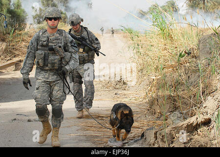 US Armee Sgt. Christopher Jasper, links, seine militärischen Gebrauchshund, Uwe und 1st Lt. Thomas Ray suchen Blindgänger, Waffenlager und improvisierte Sprengsätze in Bagdad, Irak, 21. März 2009. Jasper und Ray sind der Provost Marshall Büro, Camp Liberty k-9 Abschnitt zugeteilt.  Staff Sgt Mark Burrell Stockfoto