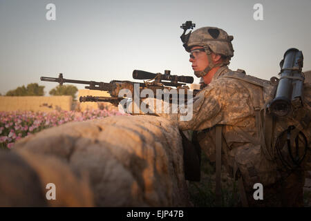 US Army Spc. Cooley, zugewiesene Bravo Company, 2. Bataillon, 502. Infanterie-Regiment, 101st Airborne Division, zieht Sicherheit in der Nähe einer offenen Mohnfeld in einem lokalen Dorf, am 24. April in der Siah Choy Unterbezirk von Zhari Bezirk, Provinz Kandahar, Afghanistan. Cooley zieht Sicherheit zur Abdeckung für Truppenbewegungen durch die lokalen Dörfer bieten.   Sgt. Canaan Radcliffe Stockfoto