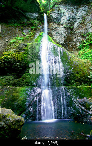 Marymere Falls, in der Nähe von Crescent Lake, Olympic Nationalpark, Washington Stockfoto
