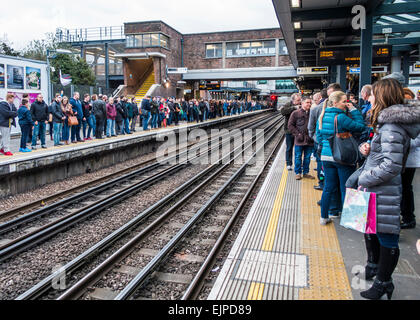 Wembley Park Station. Nach einem Rugby-Spiel im Wembley Stadium warten viele Besucher auf die U-Bahn. Stockfoto