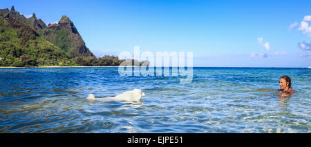 Hund konzentriert sich auf Beitritt Eigentümer schwimmen im Tunnel Beach auf Kauai Stockfoto