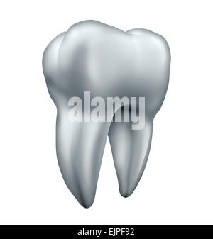 Zahn und Zahnmedizin Gesundheitswesen Symbol als Symbol für gesunde menschliche helle weiße Zähne als eine isolierte Molar auf weißem Hintergrund. Stockfoto