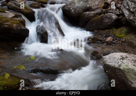 Wasser Kaskadierung von Moos bedeckt Steinen Stockfoto