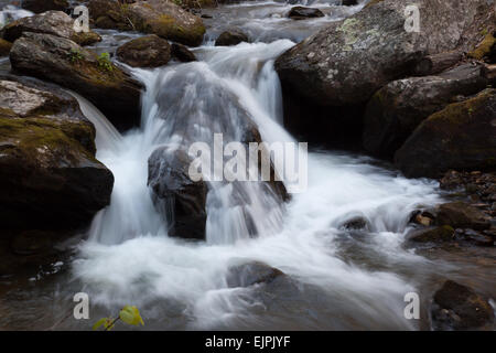 Wasser Kaskadierung von Moos bedeckt Steinen Stockfoto