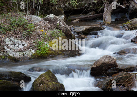 Kaskadierung von Moos bedeckt Felsen Wasser Stockfoto