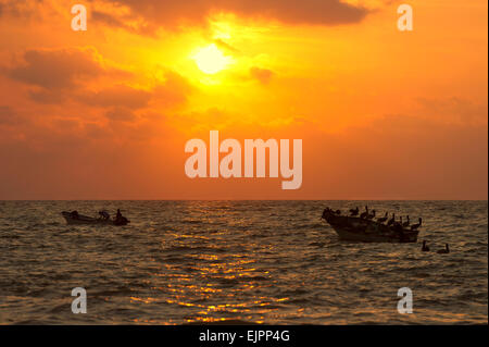 Zwei Boote und viele Seevögel sind eine Silhouette und im Hintergrund ist ein schöner Sonnenuntergang. Stockfoto