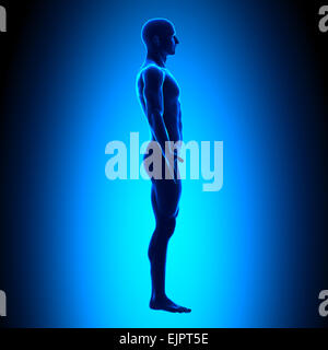 Ganzkörper - Seitenansicht - Blue concept Stockfoto