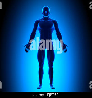 Ganzkörper - Ansicht von vorne - Blue concept Stockfoto