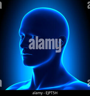 Anatomie Kopf - Iso Ansicht Detail - Blue concept Stockfoto