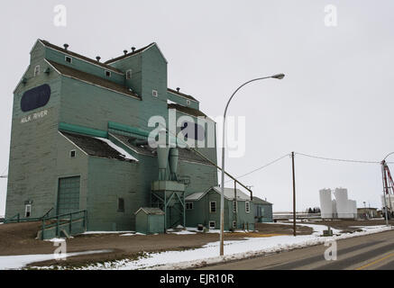 Milk River, Alberta grüne Getreidesilos, Silos. Stockfoto