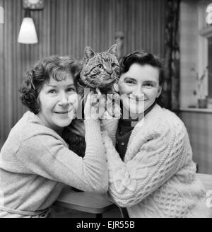 Jasper, die Katze mit zwei Häusern, hier mit Frau Whittaker (links) und Frau Crossley seine beiden Besitzer zu sehen. Februar 1972 72-1482 Stockfoto