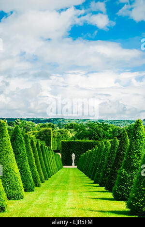 konische Hecken Linien und Rasen, Schloss Versailles, Frankreich Stockfoto