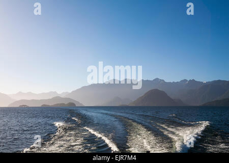 Kreuzfahrten rund um zweifelhafte Sound, Südinsel, Neuseeland Stockfoto