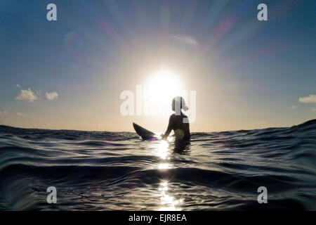 Silhouette der Surfer sitzen auf Surfbrett im Ozean Stockfoto