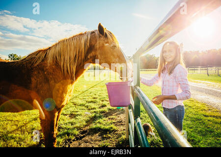 Kaukasische Mädchen fressen Pferde ranch Stockfoto