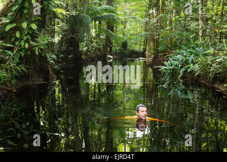 Touristischen schwimmen in einem Dschungel gesäumten Bach in der Nähe von Paramaribo, Surinam Stockfoto