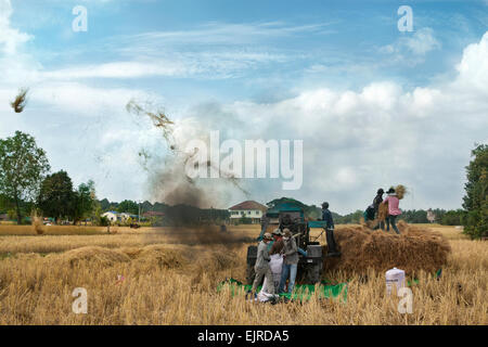 Erntezeit in Kambodscha, Asien. Dreschmaschine auf dem Reisfeld. Stockfoto