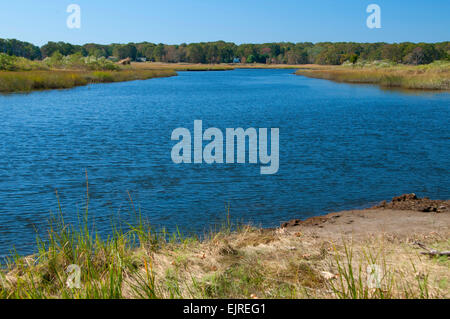 Menunketesuck River, Salz Wiese Einheit-Stewart B. McKinney National Wildlife Refuge, Connecticut Stockfoto