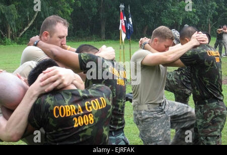 CAMP-Freundschaft, KORAT, Thailand lernen 12. Mai 2008 - Soldaten mit 156. Infanterie-Regiment, 2nd Battalion, Louisiana Nationalgarde, wie liefert eine Rippe-Rissbildung Knie schlagen durch ihre Gegenstücke Royal Thai Army beim üben Muay Thai im Jahr 2008 Cobra kalt hier. Muay Thai ist eine Form der Thai-Boxen, aber die Thai Militärgebrauch eine modifizierte Form des Muay Thai genannt Lerdrit. Kobra-Gold ist eine regelmäßig stattfindende kombinierte, gemeinsame multinationale Übung und ist der jüngste in der fortfahrenden Reihe von USA und Thai militärische Übungen zur regionalen Frieden und Stabilität zu gewährleisten. Diese Übung Stockfoto