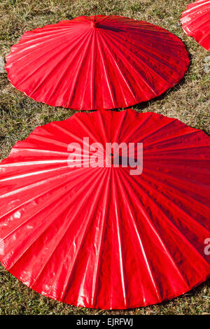 Thailand, Chiang Mai Borsang Umbrella Making Dorf, bemalte Regenschirme trocknen Stockfoto