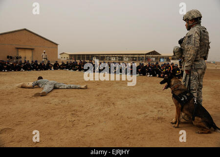 US Army Sergeant Troy Stiner aus Pittsburg, Pennsylvania, der 2. spezielle Truppen Bataillon, 4. US-Infanteriedivision 2nd Brigade Combat Team leitet US Armee Sgt. Tyler Barriere aus Ithaca, N.Y., in eine anfällig Position an der Polizeiakademie Diwaniyah in Diwaniyah, Irak, 9. Februar 2009. Die Soldaten führte auch eine Bewertung der Akademie um sicherzustellen, dass sie die Vorräte, die sie benötigen. Stockfoto