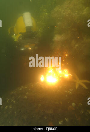 US Army Spc. Paul Riedner, ein Taucher mit dem 86. Engineering Dive Team aus Fort Eustis, Virginia, nutzt ein Unterwasser exotherme Schneidsystem einen Handlauf entfernen von der Oberfläche des ehemaligen sowjetischen u-Boot Juliett 484 an der Unterseite des Flusses Providence in Rhode Island 13. Juni 2008. US-Navy und Army Taucher führen einen gemeinsame Service-Betrieb mit Bund, Ländern und Gemeinden zusammen, um das u-Boot, das 30 Fuß sank während einer Noreaster, die das Gebiet April 2007 schlug zu erhöhen. Die Übung ist Teil der Abteilung der Abwehr innovative Bereitschaft Trainingsprogramm, das Mil bietet Stockfoto
