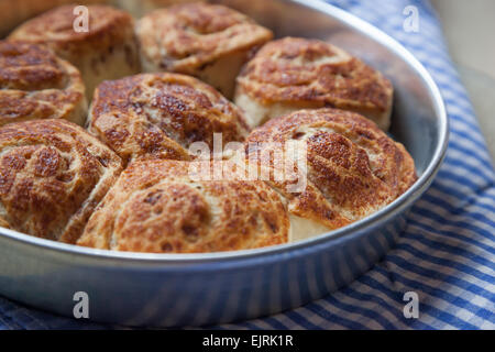 Zimtschnecken sitzen auf einem blau-weißen aufgegebenes Tuch, frisch aus dem Ofen. Stockfoto