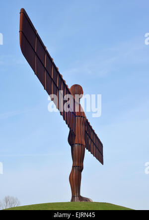 Engel des Nordens. Stahlskulptur von Antony Gormley, die bei niedrigen Eighton in Gateshead, England errichtet wird entworfen Stockfoto