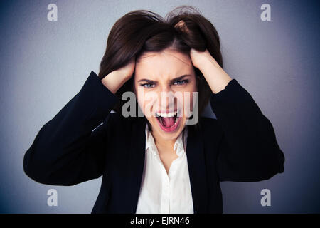 Wütend Geschäftsfrau schreien auf grauem Hintergrund. Hält ihr Haar. Blick in die Kamera Stockfoto