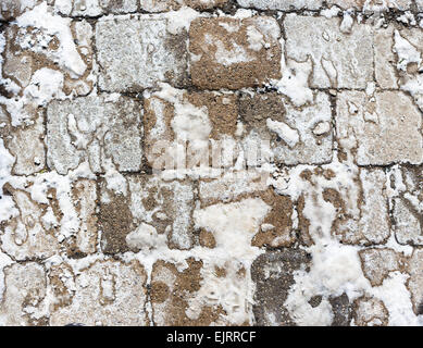 Pflaster-Platten mit Schnee bedeckt Stockfoto