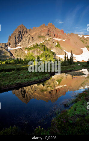 OREGON - drei Finger Jack in einen kleinen Teich auf der oberen Canyon Creek Wiese im Mount Jefferson Wildnis wider Stockfoto