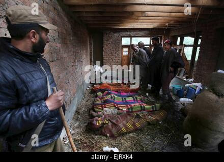 Srinagar, Kaschmir Indien kontrollierten. 31. März 2015. Kashmiri Dorfbewohner stehen in der Nähe die Leichen der Opfer des Erdrutsches nach abrufen aus Schutt eines Hauses im Dorf Laden etwa 45 km südlich von Srinagar, Sommer in der Hauptstadt von Indien kontrollierten Kaschmir, 31. März 2015. Behörden am Dienstag sagte, aus Schlamm und Schutt eines Hauses durch Erdrutsche in Indien kontrollierten Kaschmir getroffen 15 Leichen geborgen wurden. Heftige Regenfälle am Montag löste Erdrutsche, die ein Wohnhaus, 16 Insassen lebendig zu begraben, im Ortsteil beladen von Budgam getroffen. Bildnachweis: Javed Dar/Xinhua/Alamy Live-Nachrichten Stockfoto