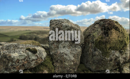 Die imposante Schönheit des Dartmoor National Park, eine riesige Fläche von Moorland in South Devon, England, Großbritannien, Vereinigtes Königreich. Stockfoto