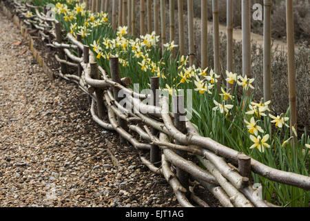 Nutzung der verfing Haselnuss-Filialen, gewundenen kleinen Zaun Garten Zuteilung wie Flechten mit Weide zu erstellen Stockfoto