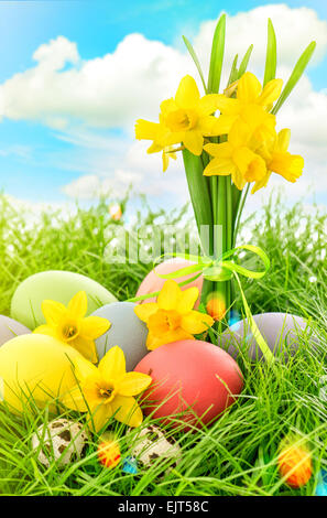 Ostern Eiern Dekoration und Narzisse Blumen in grünen Rasen über blauen Wolkenhimmel. Stockfoto